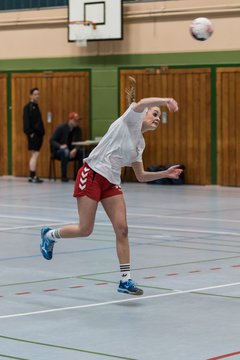 Bild 166 - Damen HSG Kremperheide/M�nsterdorf - Suchsdorfer SV : Ergebnis: 39:22